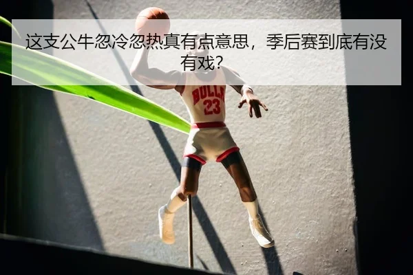 这支公牛忽冷忽热真有点意思，季后赛到底有没有戏？