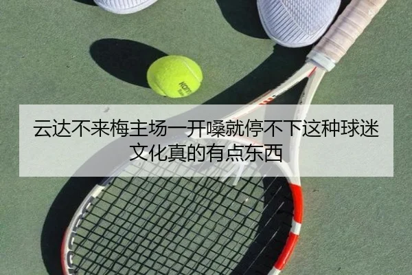 云达不来梅主场一开嗓就停不下这种球迷文化真的有点东西