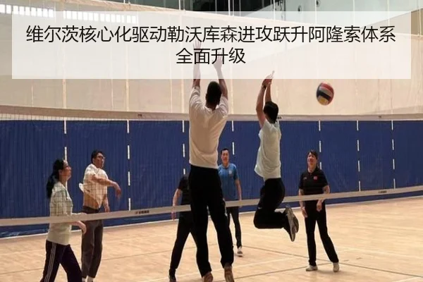 维尔茨核心化驱动勒沃库森进攻跃升阿隆索体系全面升级