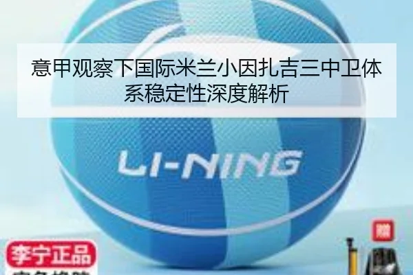 意甲观察下国际米兰小因扎吉三中卫体系稳定性深度解析