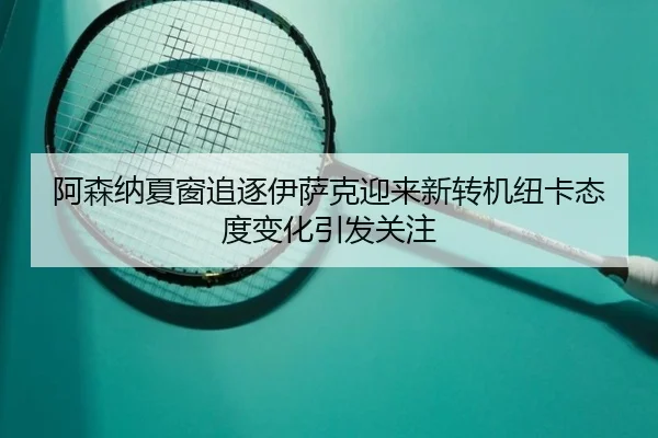 阿森纳夏窗追逐伊萨克迎来新转机纽卡态度变化引发关注