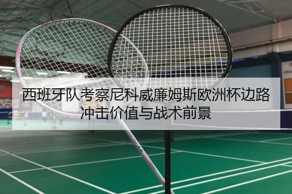 西班牙队考察尼科威廉姆斯欧洲杯边路冲击价值与战术前景